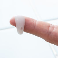 はみがき剤 犬猫用 オーラバイオペースト OraBio 50g 国産品 塗る歯磨剤 バイロン