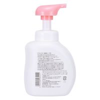 ピジョン 全身泡ソープ ベビーフラワーの香り 500ml（ベーシック）