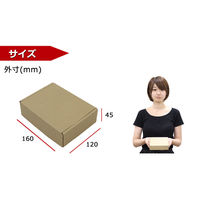 【60サイズ】N式（差し込みタイプ） ダンボール箱 1セット（50枚）160×120×45mm NO449 logimart