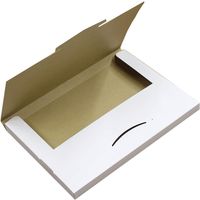 ゆうパケット対応薄型ダンボールケース 1セット（200枚） 339×229×28mm 白 NO485 logimart