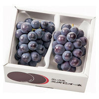 ＜2023年お中元＞アデリー 広島三次ピオーネ HMP-2-400 1箱（直送品）