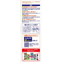 ハナノア 鼻うがい 口から出すしっかりタイプ (鼻洗浄器+専用洗浄液500ｍl) 1箱 小林製薬