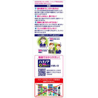 ハナノアシャワー 鼻うがい 初めてでも簡単タイプ (鼻洗浄器+専用洗浄液500ｍｌ) 1箱 小林製薬