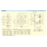 ミネベアショウワ ショウワ 535ー05ーDAー70 6本ピンー36 ケースロック 1012101 1セット（直送品）