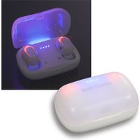 オーム電機 完全ワイヤレスイヤホン 530Z 03-0765 1個（直送品）