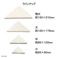 志賀昆蟲普及社 志賀昆虫　三角紙　大型　５０枚１束 178876 1個（直送品）