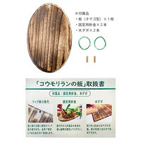 JUN J.GREEN コウモリランの板 タマゴ型 268701 1個（直送品）