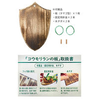 JUN J.GREEN コウモリランの板 エンブレム型 268702 1個（直送品）