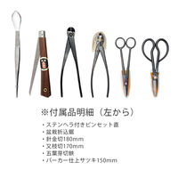 八木光 盆栽６点セット（チャック付きケース）Ｋー1 270223 1セット（直送品）