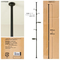 リッチェル ボタニー ハンギングスタンド ポール ブラック 支柱のみ 吊り下げ 273281 1個（直送品）