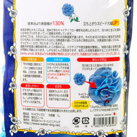 ウォーターエンジニアリング Cavity キャビティ プロ 1L 物理・生物ろ過 超軽量 ろ材 284717 1袋（直送品）