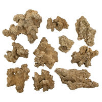 リーフ 形状お任せ 仙礁石 サイズミックス(約5~20cm) 5kg 45cm水槽向け 809081 1個（直送品）