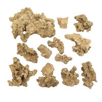 リーフ 形状お任せ 仙礁石 サイズミックス(約5~30cm) 10kg 60cm水槽向け 809082 1個（直送品）