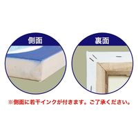 P・O・Pプロダクツ キャンバス　Ｐａｔｔｅｒｎ　丸柄（青）　Ｓ３０　Ｎｏ．４３９３７ 073822 1枚（直送品）