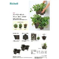 リッチェル いちご栽培セット ハーベリーポット+土付き いちご苗別売り 家庭菜園 289760 1セット（直送品）