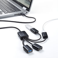 サンワサプライ USB3.2 Gen1+USB2.0 Type-Cコンボハブ(4ポート) USB-3TC436BK 1個