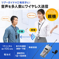 サンワサプライ ワイヤレスガイドシステム(親機) MM-WGS2TN 1個