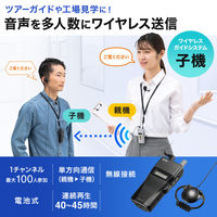 サンワサプライ ワイヤレスガイドシステム(子機) MM-WGS2RN 1個（直送品）