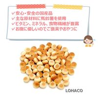 ファースト さつまいも入りボーロ 国産 80g 1個 ドッグフード 犬 おやつ