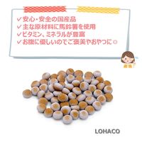 ファースト ブルーベリー入りボーロ 国産 80g 1個 ドッグフード 犬 おやつ