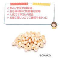 ファースト ヤギミルク入りボーロ 国産 80g 3個 ドッグフード 犬 おやつ