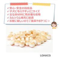 ファースト わんこベビーボーロ ミルクCa 国産 55g 1個 ドッグフード 犬 おやつ