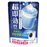 超即効型 酸素系 洗濯槽クリーナー 1回分 1箱（48個入） ウエルコ