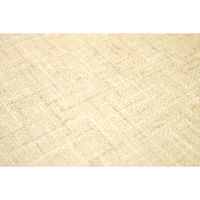 明和グラビア　抗ウイルスランチョンマット　VPM-ムジ　 YE4977932273702　1セット（10枚入）（直送品）