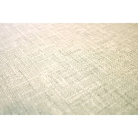 明和グラビア　抗ウイルスランチョンマット　VPM-ムジ　 GR4977932273719　1セット（10枚入）（直送品）