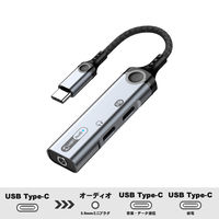 USB Type-C オーディオ変換アダプタ PD60W USB-C×1 Audio×2（USB-C、3.5mm） 1個