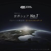 （国内正規品） ゴールドスタンダード 100％ ホエイプロテイン ダブルリッチチョコレート 1個（454g） ON