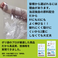 アンビシャス 30L透明0.025mm厚10枚x100冊ツルツルタイプ LA-33 1箱(1000枚入)（直送品）