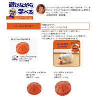 ビジーバディ ツイスト SS オレンジ 1個 リッチェル