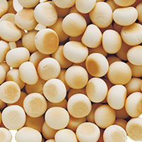 アドメイト 純国産極上たまごボーロ 国産 50g 10個 ペティオ ドッグフード 犬 おやつ