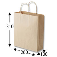 シモジマ 25チャームバッグ S 未晒無地 003264311 1袋(50枚)