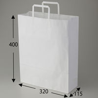 シモジマ H25チャームバッグ 2才 晒白無地 003262500 1袋(50枚)