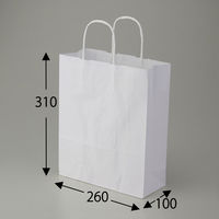 シモジマ 25チャームバッグ S 晒白無地 003264301 1袋(50枚)