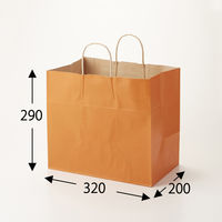 シモジマ 25チャームバッグ 32-4 未晒 オレンジC 003268711 1袋(50枚)