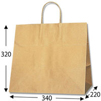 シモジマ 25チャームバッグ 34-1 未晒無地 003269101 1袋(50枚)