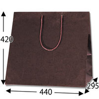 シモジマ カラーアレンジバッグ L 焦茶 006441011 1袋(10枚)