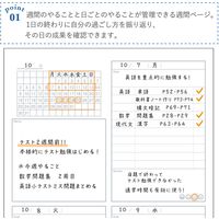 学研ステイフル スタディプランニング 勉強計画 B5サイズ ノート グレー JD04069 1冊