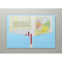 ライオン事務器 カラーポケットホルダー 紙製 2つ折りタイプA4(見開きA3判) PH-54Cライトグリーン 11685 1冊