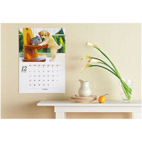 コクヨ インクジェットプリンタ用紙 写真用マット紙 A4 KJ-M14A4-50 1袋(50枚)