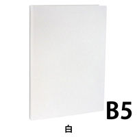 セキセイ のび~るファイル B5S 2穴 白 最大収納枚数1000枚 AE-40-70 1冊