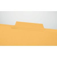 ライオン事務器 個別フォルダー A4ーIF2ーY 13096 1パック