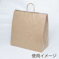 シモジマ ポリ袋 バイオレイニーポリ 47-52 (45-1用) 006607156 1袋(50枚)