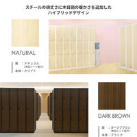 ネットフォース FACILE 10人用 スリムロッカー 木目 ブラック×ダークブラウン FAC-S10-C-AW 1台（直送品）