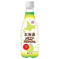伊藤園 不二家 北海道 メロンスカッシュ 410ml 1箱（24本入）