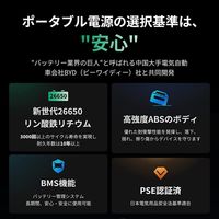 ポータブル電源 蓄電池 充電器 608Wh容量 UPS機能 リン酸鉄 防災 UGREEN PowerRoam600 1台