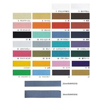 日本紐釦貿易(Nippon Chuko) 日本紐釦貿易 カラフルポリテープ 30mm幅×10m巻 ライトグリーン MHP3010-19（直送品）